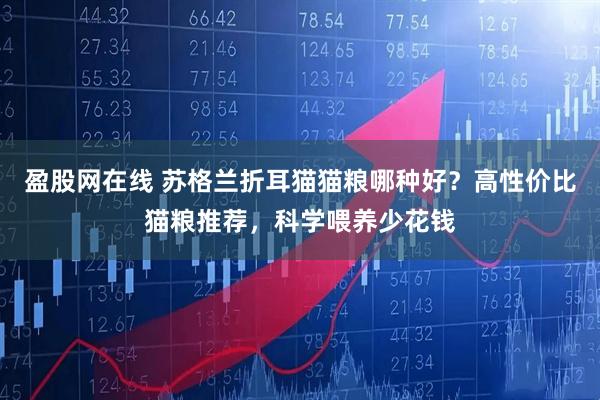 盈股网在线 苏格兰折耳猫猫粮哪种好？高性价比猫粮推荐，科学喂养少花钱
