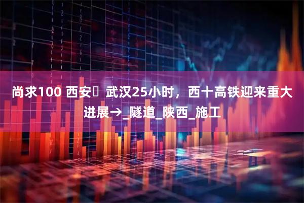 尚求100 西安⇌武汉25小时,西十高铁迎来重大进展→_隧道_陕西_施工
