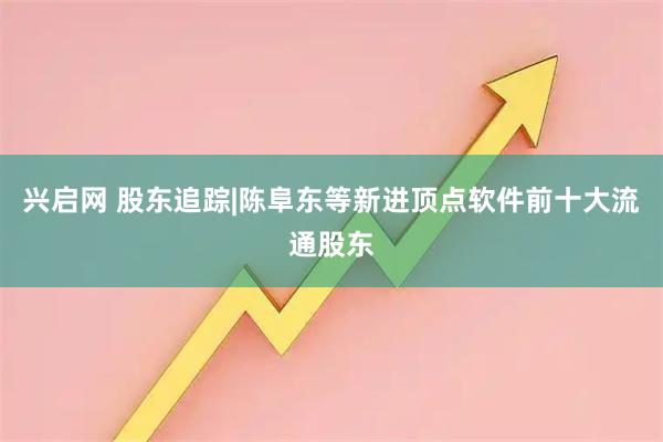 兴启网 股东追踪|陈阜东等新进顶点软件前十大流通股东